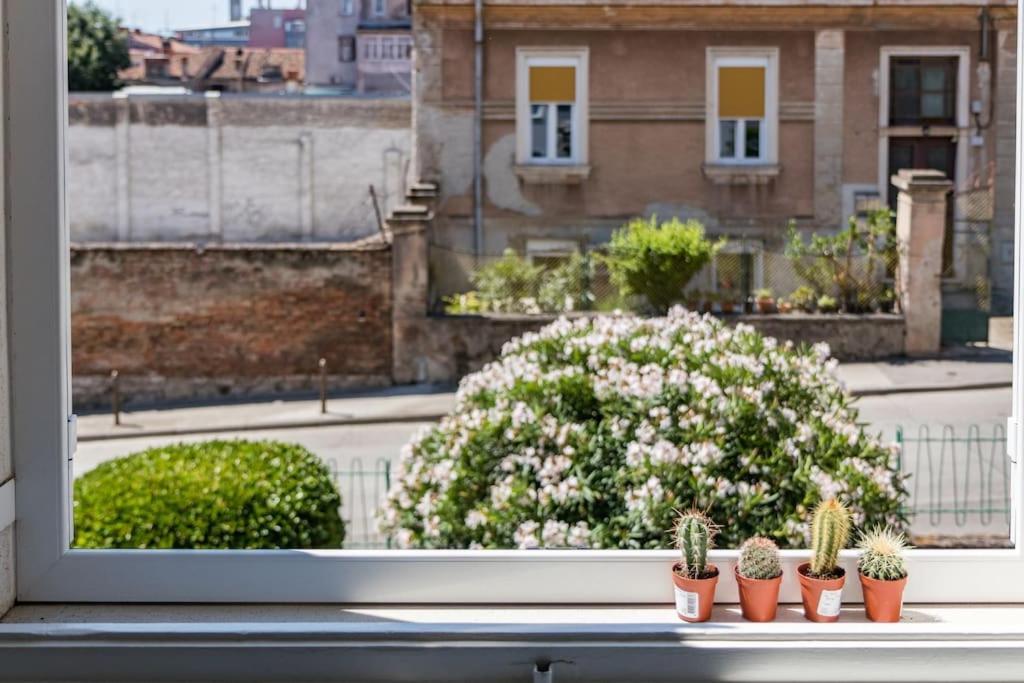 Quirky Apartment Arena With Parking Pula Exteriér fotografie